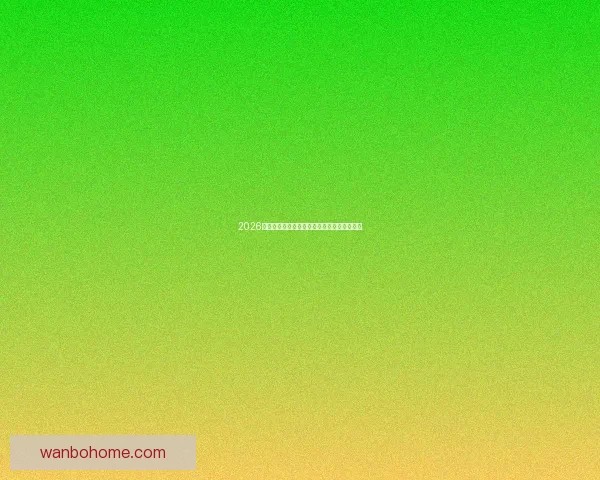 2026年世界杯加拿大精彩赛事全景解析与看点前瞻